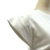 カメリアフレンチ袖Ｔシャツ（ホワイト）